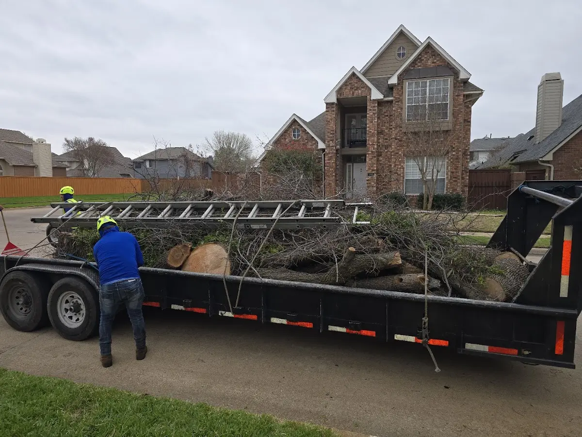 Expert Tree Removal with proper safety equipment in Richmond